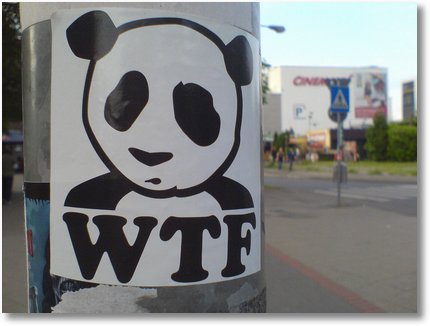 WTF-Panda Streetart